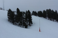 20150313_152751