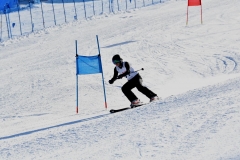 IMG-20250212-WA0015